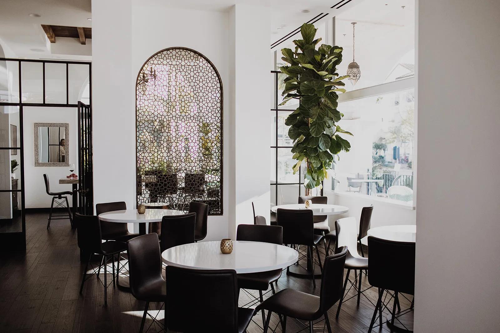 The Society: State & Mason