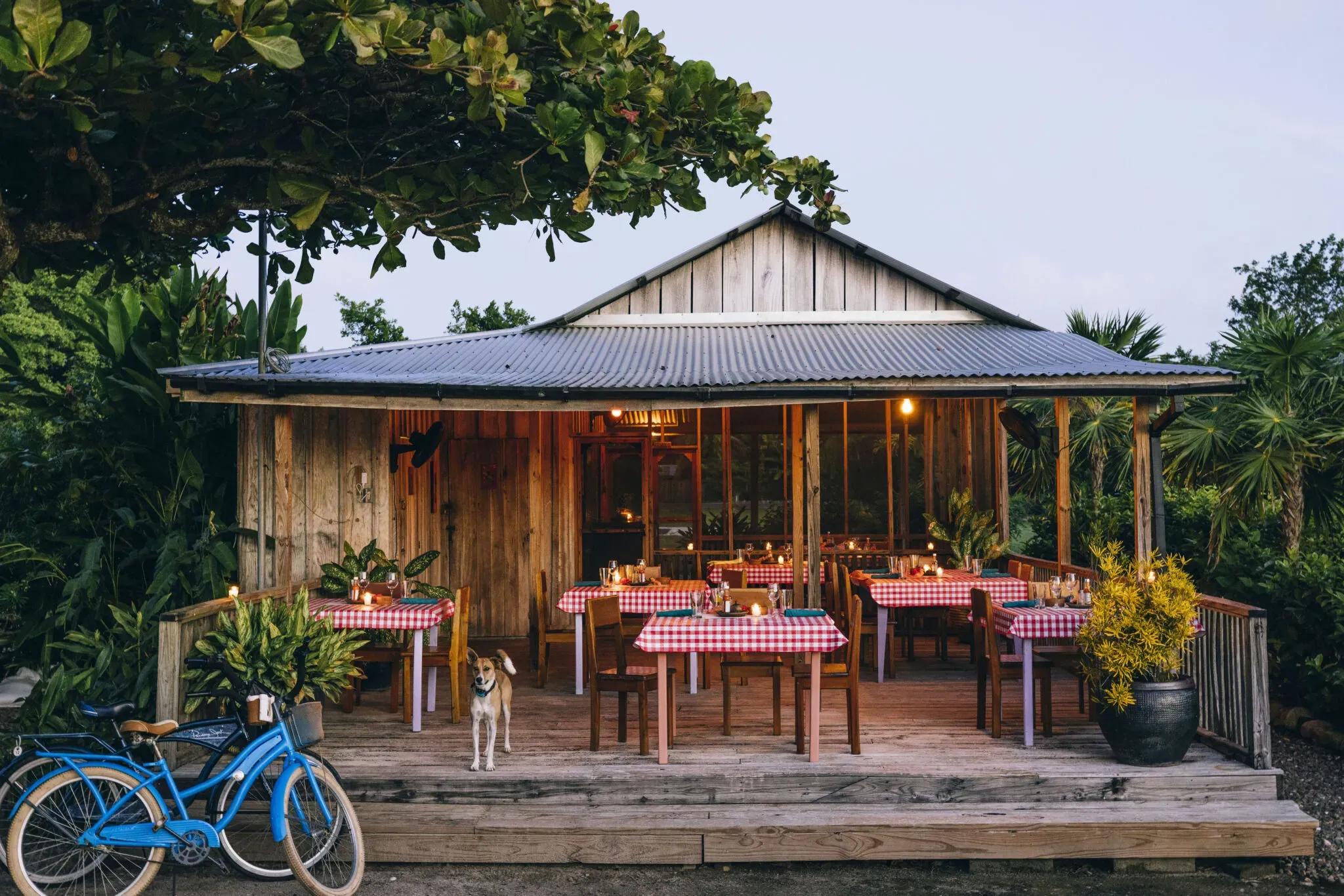 Auntie Luba's Kitchen