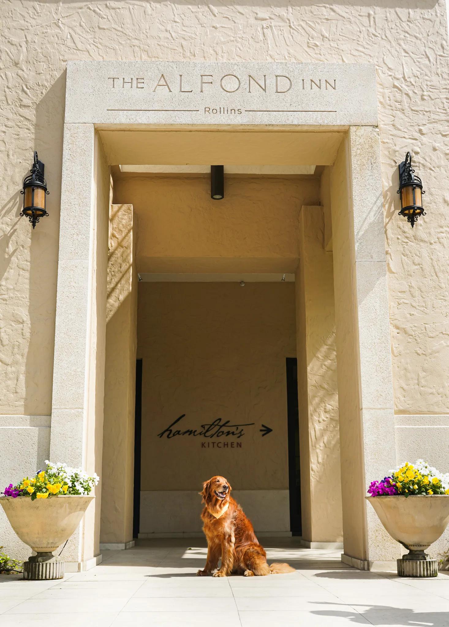 Hamilton's Kitchen - serving brunch and dinner