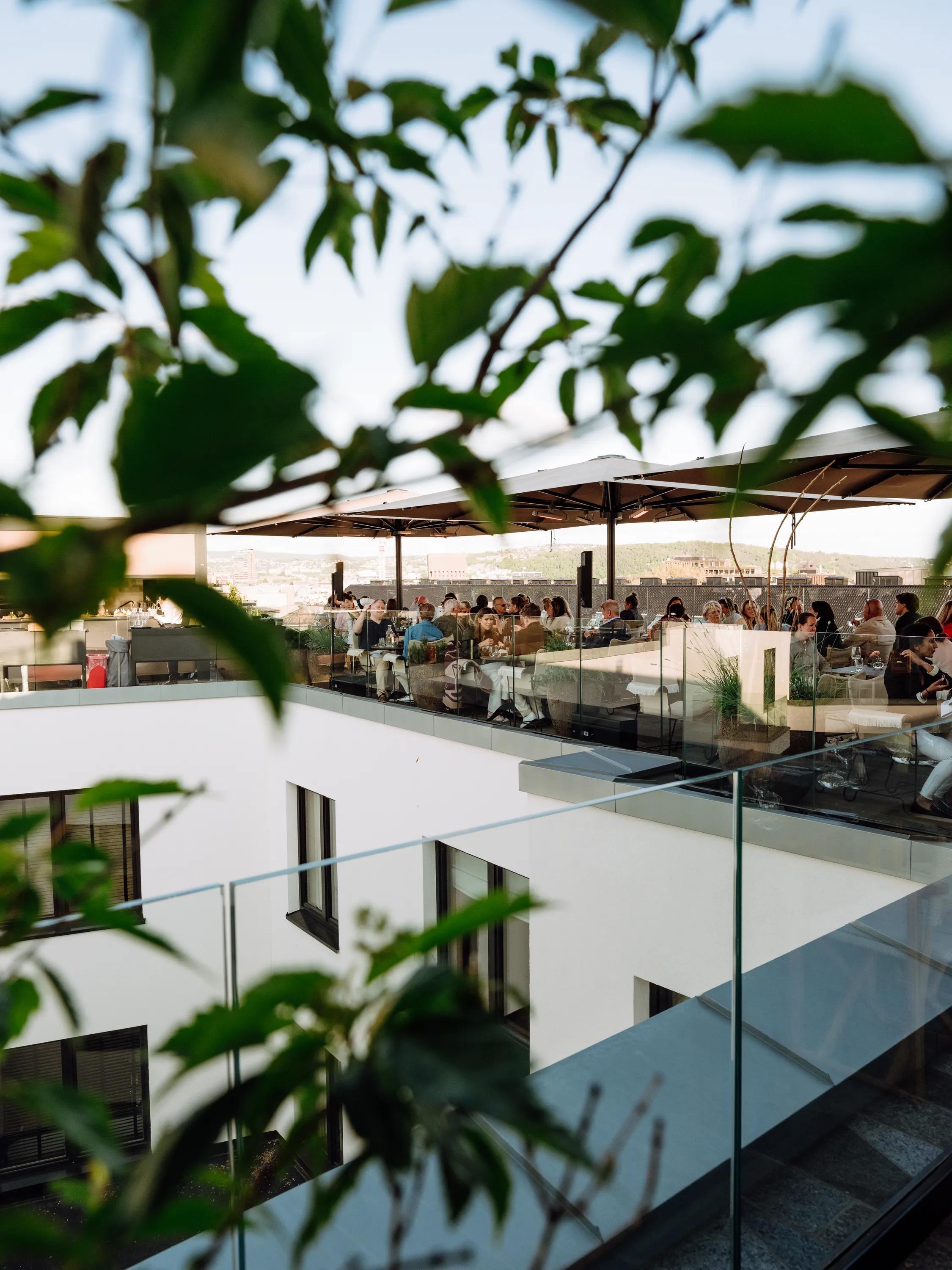 Izakaya Bar & Terrace