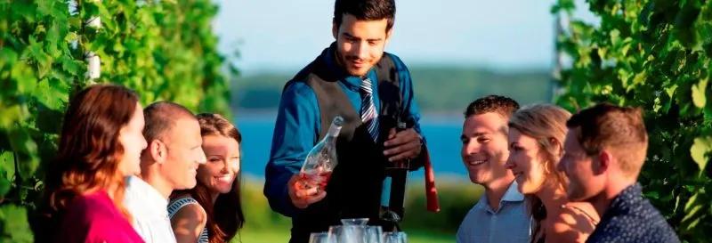 The Cape Cliff Wine Room