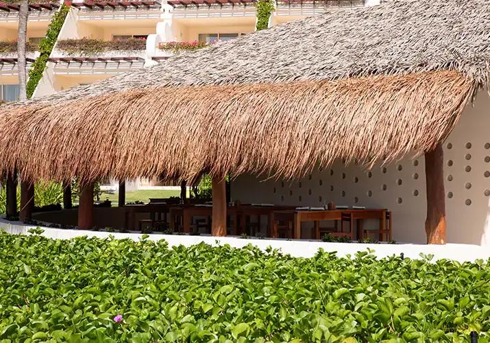 Snack Bar Ambassador