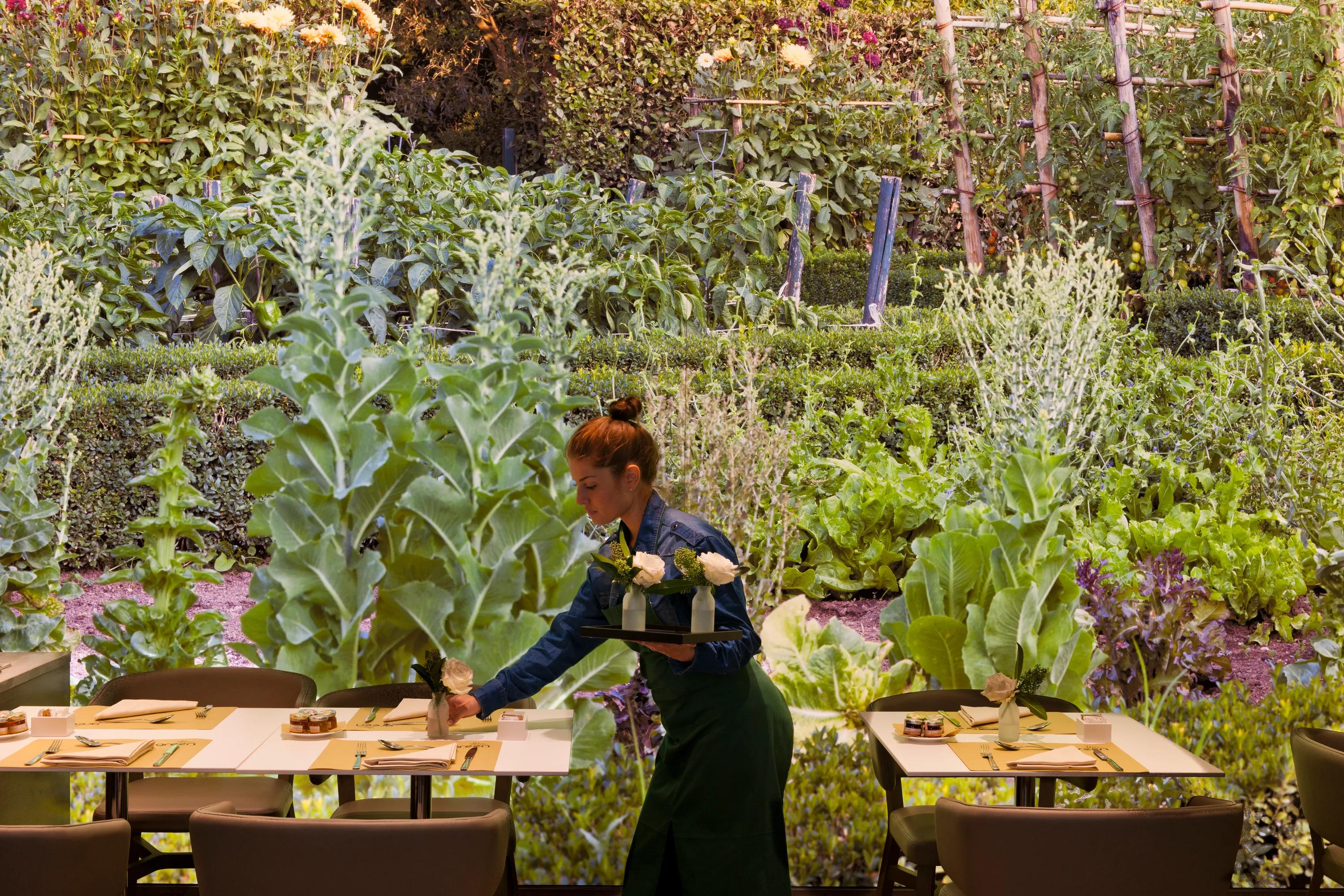 Orto Green Food & Mood